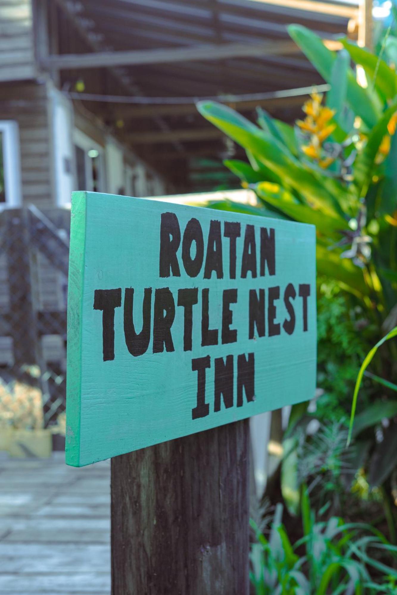 Roatan Turtle Nest Inn West End Exterior photo